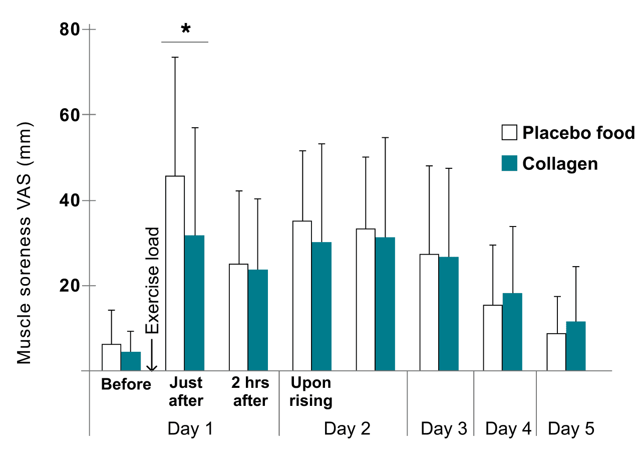Immediately following exercise, muscle soreness was 30% lower in the collagen group and fatigue was 20% lower.